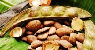 óleo Corporal de Pracaxi e Cumaru